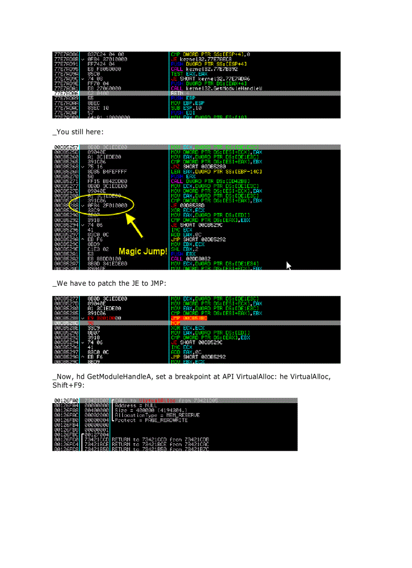 image for page Armadillo 4 xx Code Splicing Import Elimination