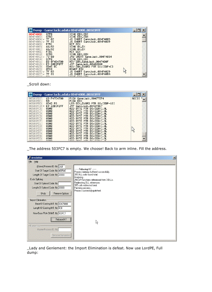 image for page Armadillo 4 xx Code Splicing Import Elimination