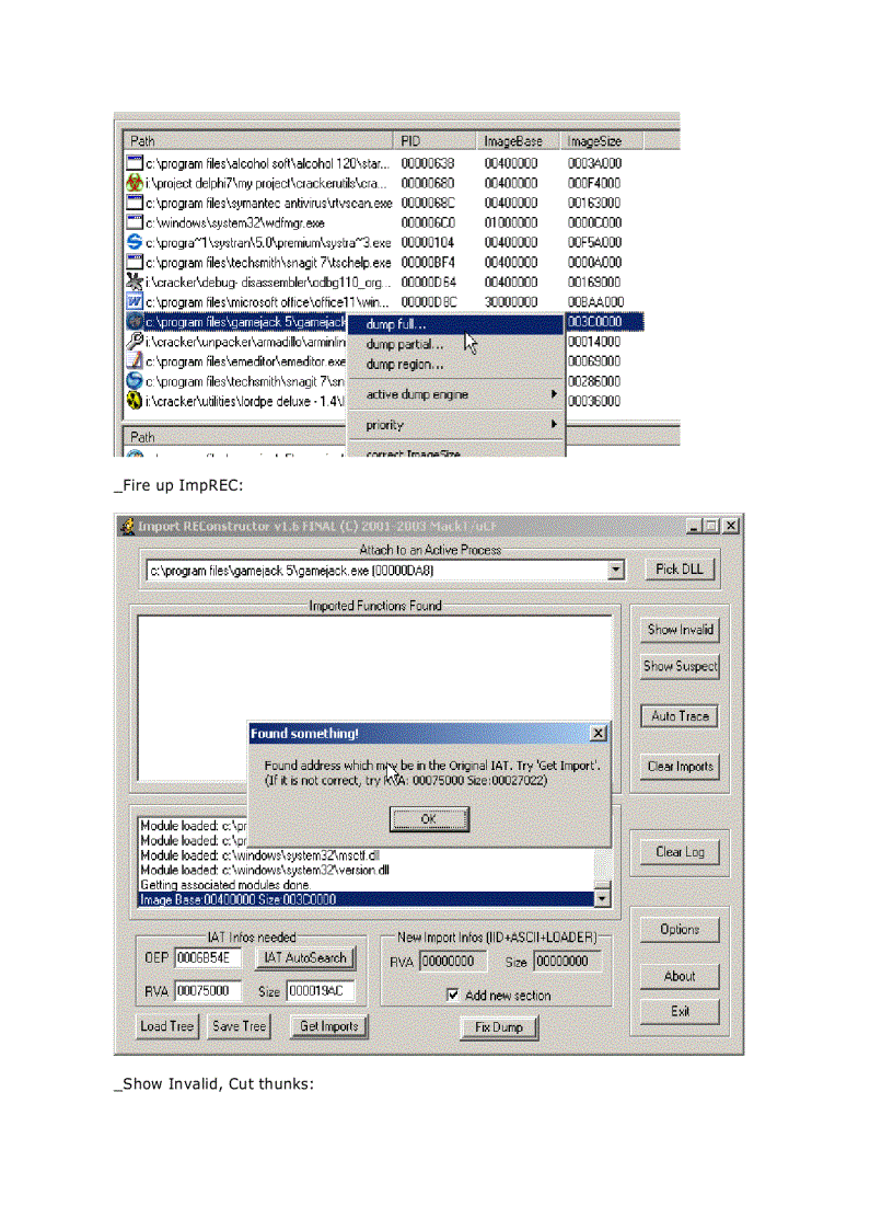 image for page Armadillo 4 xx Code Splicing Import Elimination