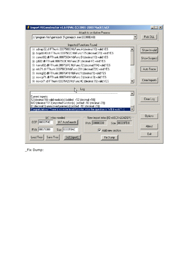 image for page Armadillo 4 xx Code Splicing Import Elimination