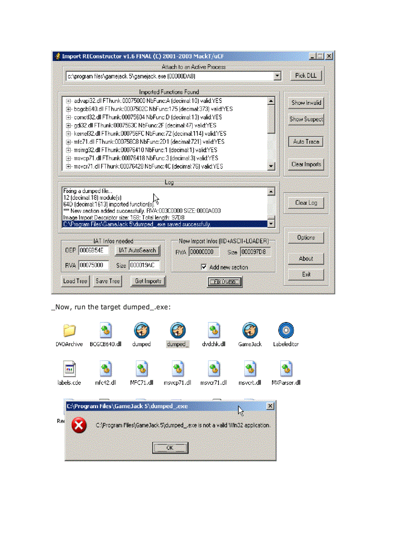image for page Armadillo 4 xx Code Splicing Import Elimination