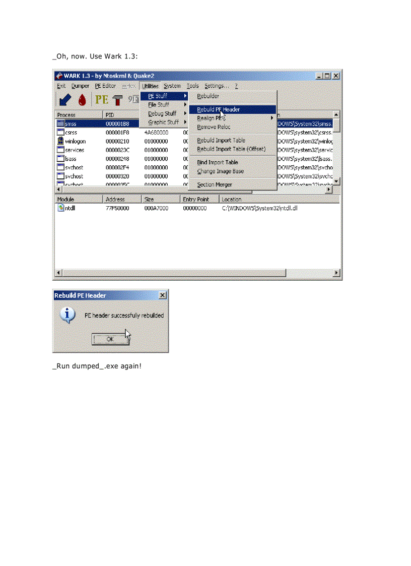 image for page Armadillo 4 xx Code Splicing Import Elimination