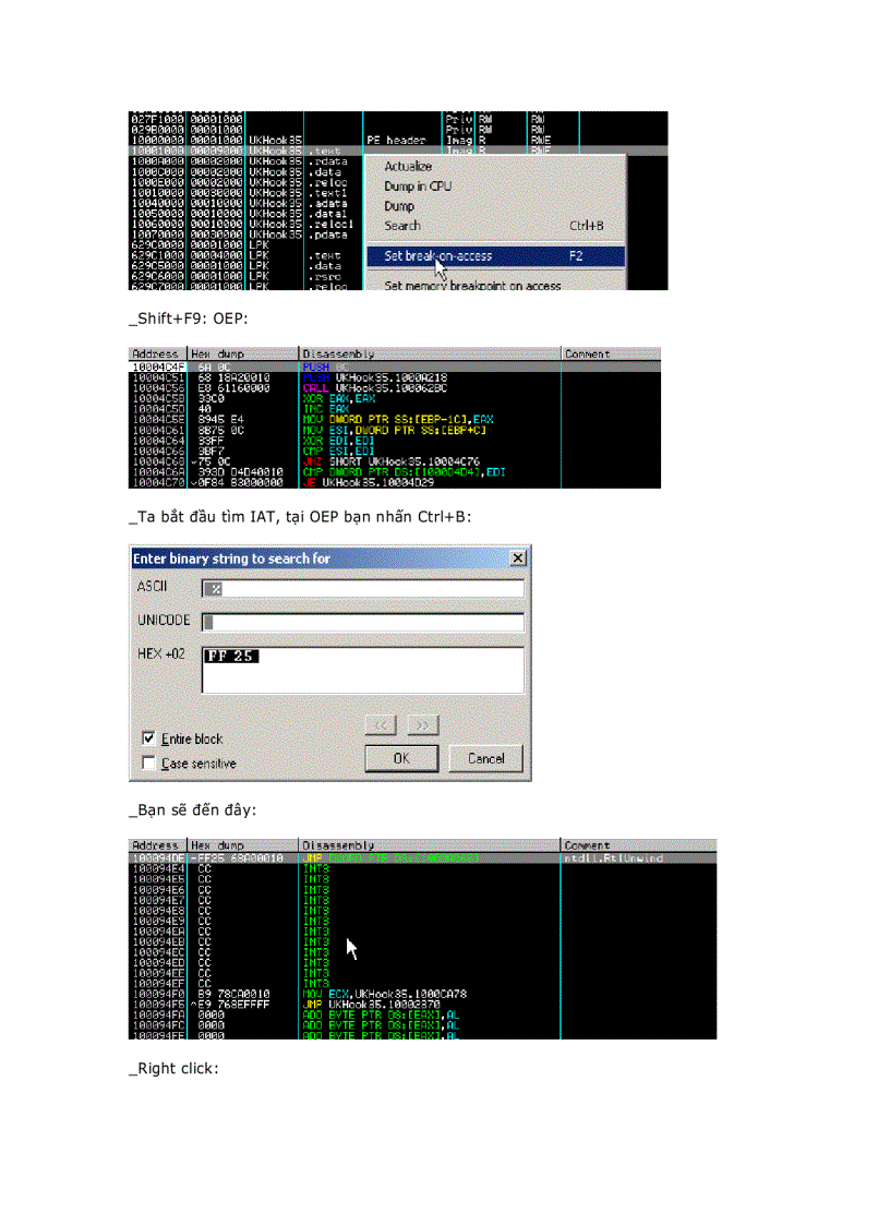 image for page Armadillo 4 xx DLL File