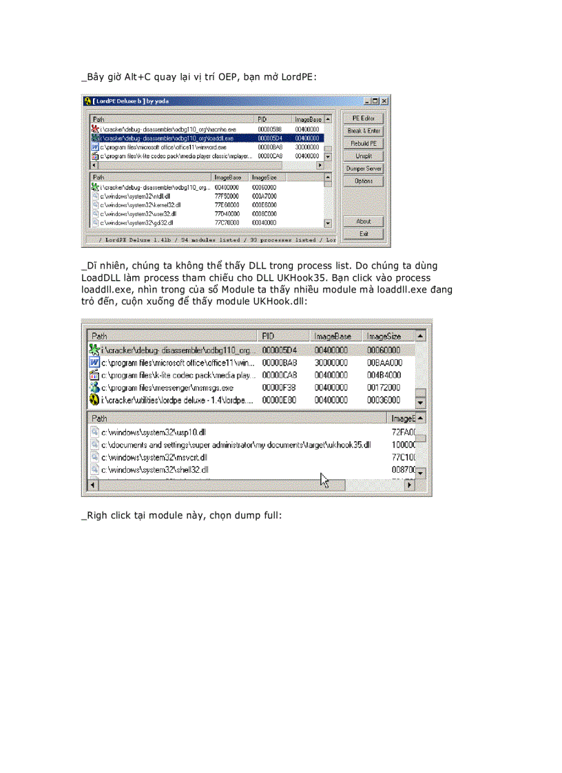 image for page Armadillo 4 xx DLL File