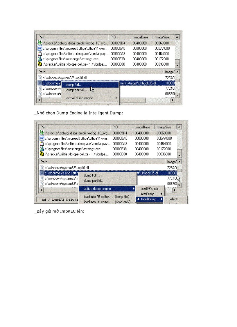 image for page Armadillo 4 xx DLL File