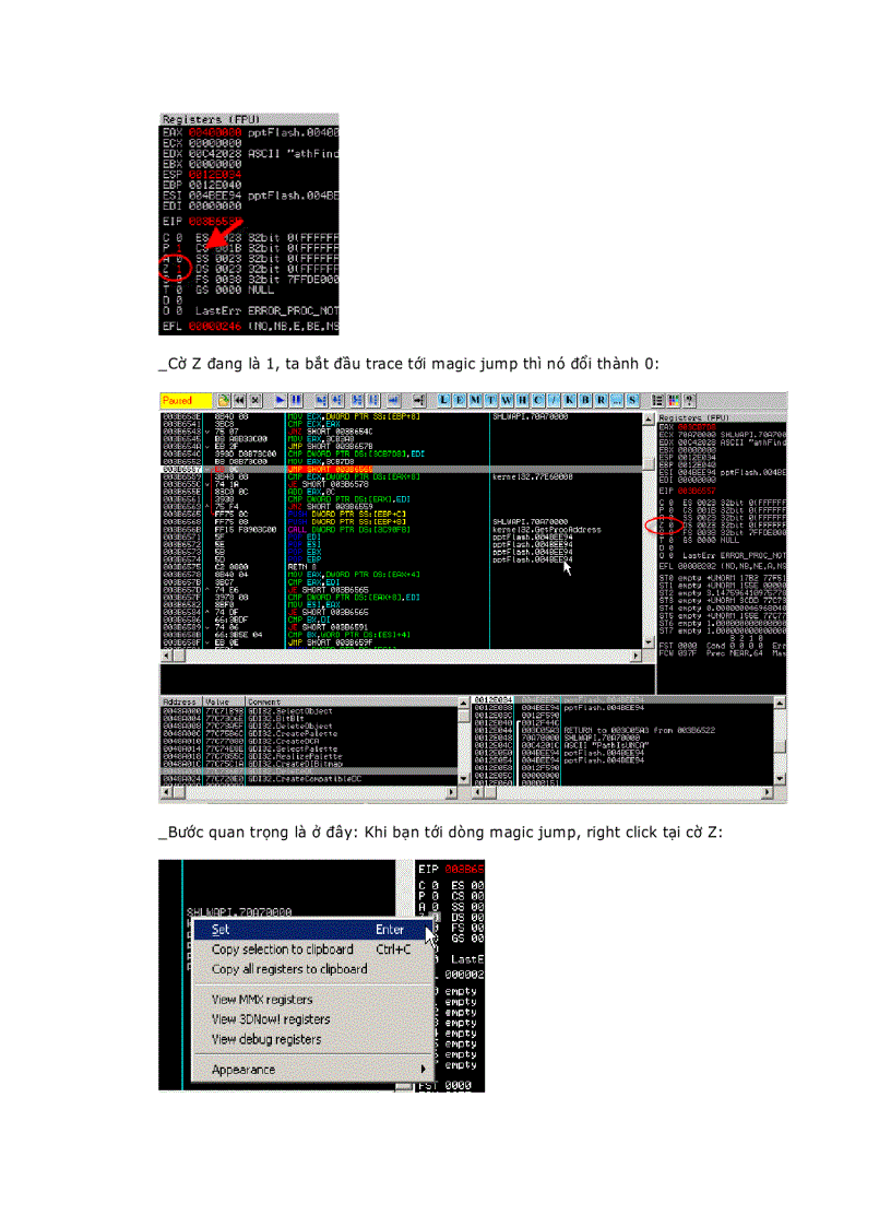 image for page Armadillo 4 xx Standard Protection other way