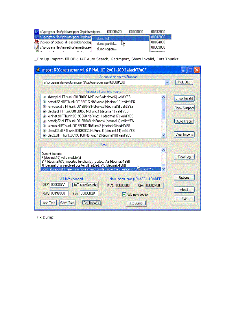 image for page Armadillo 4 xx Import Elimination Nanomites Complete tut