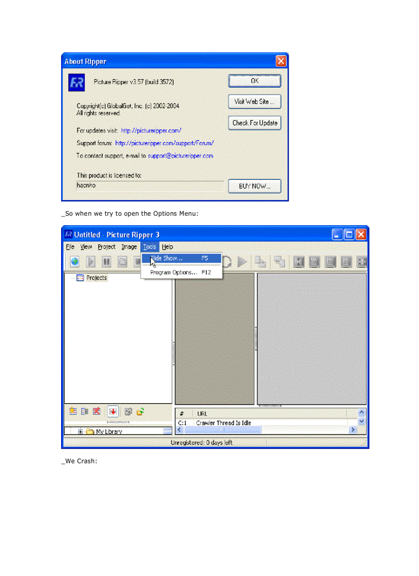 image for page Armadillo 4 xx Import Elimination Nanomites Complete tut