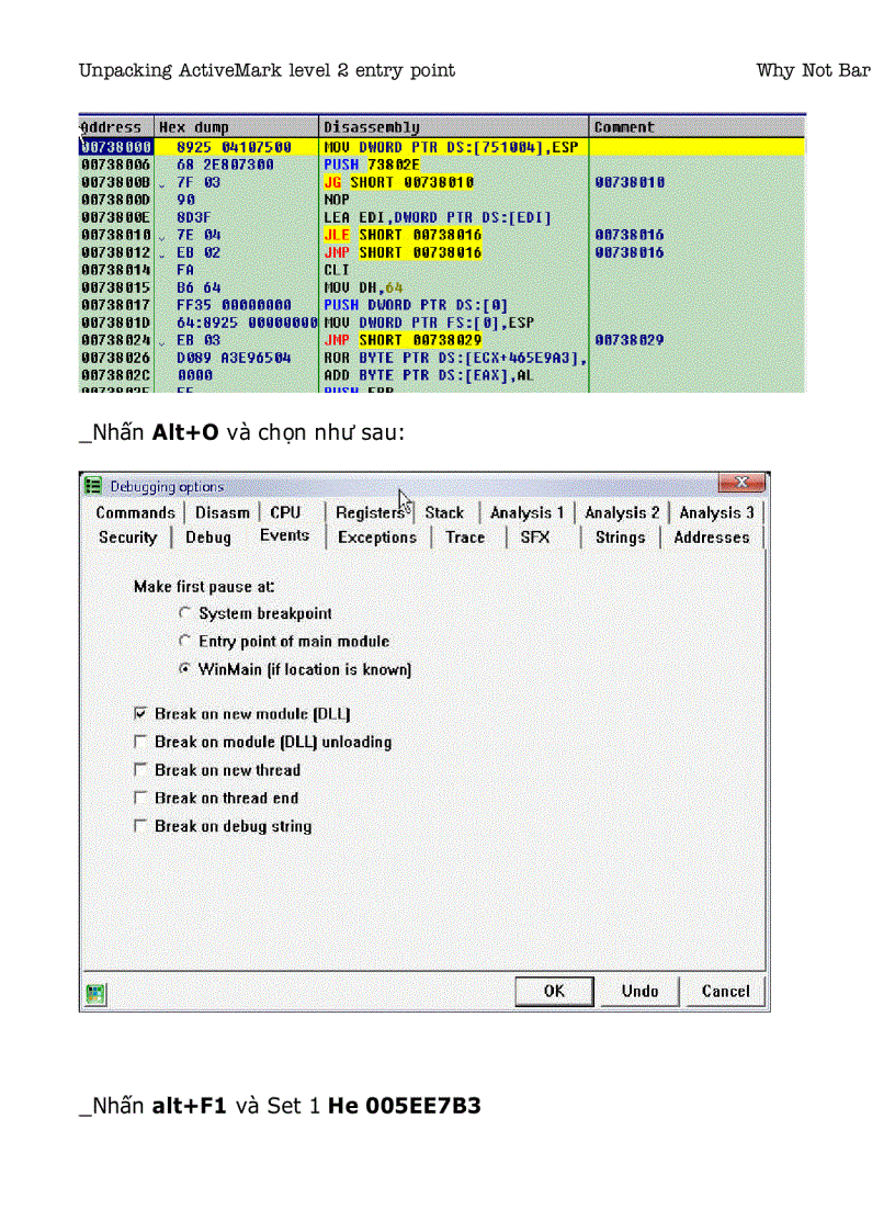 image for page Unpacking ActiveMark level 2 entry point