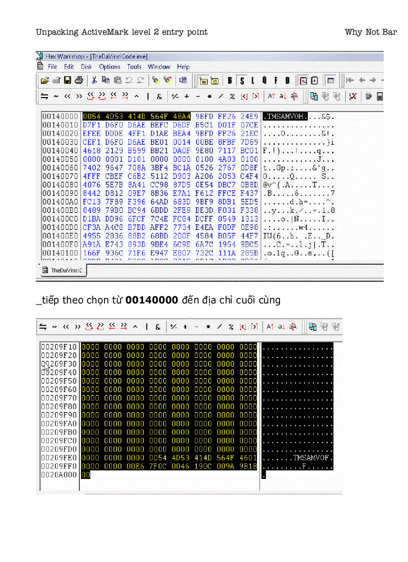 image for page Unpacking ActiveMark level 2 entry point