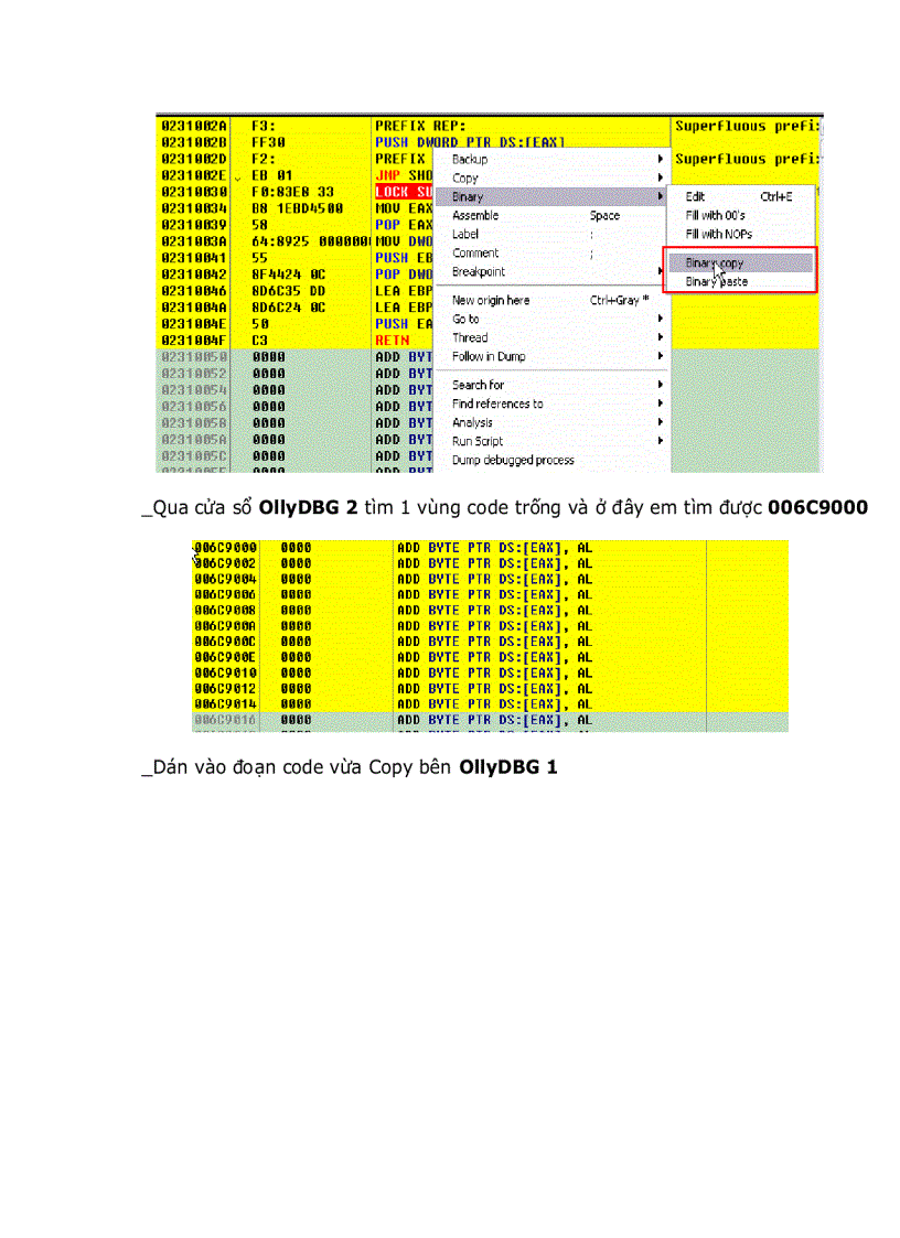 image for page Unpacking ASProtect 2 3 SKE build 06 26