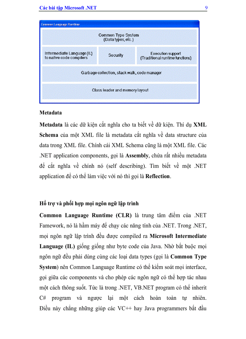 image for page Các bài tập Micosoft NET