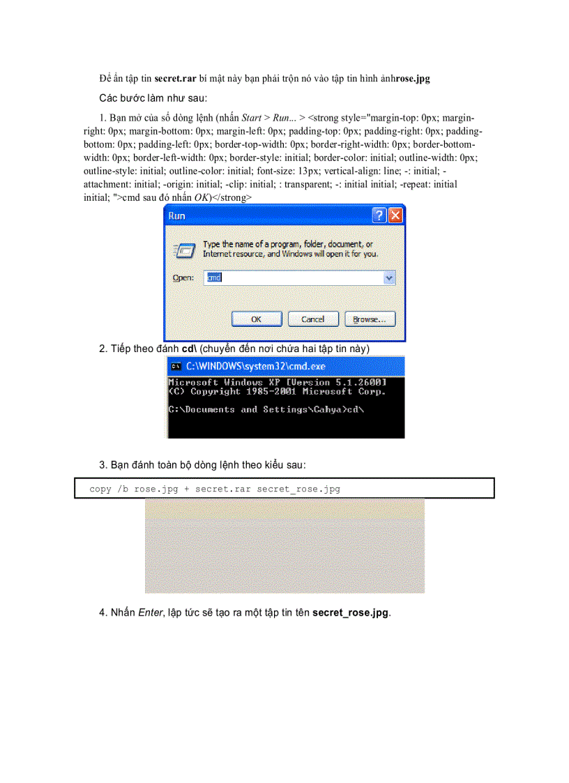 image for page Giấu dữ liệu vào trong tập tin ảnh