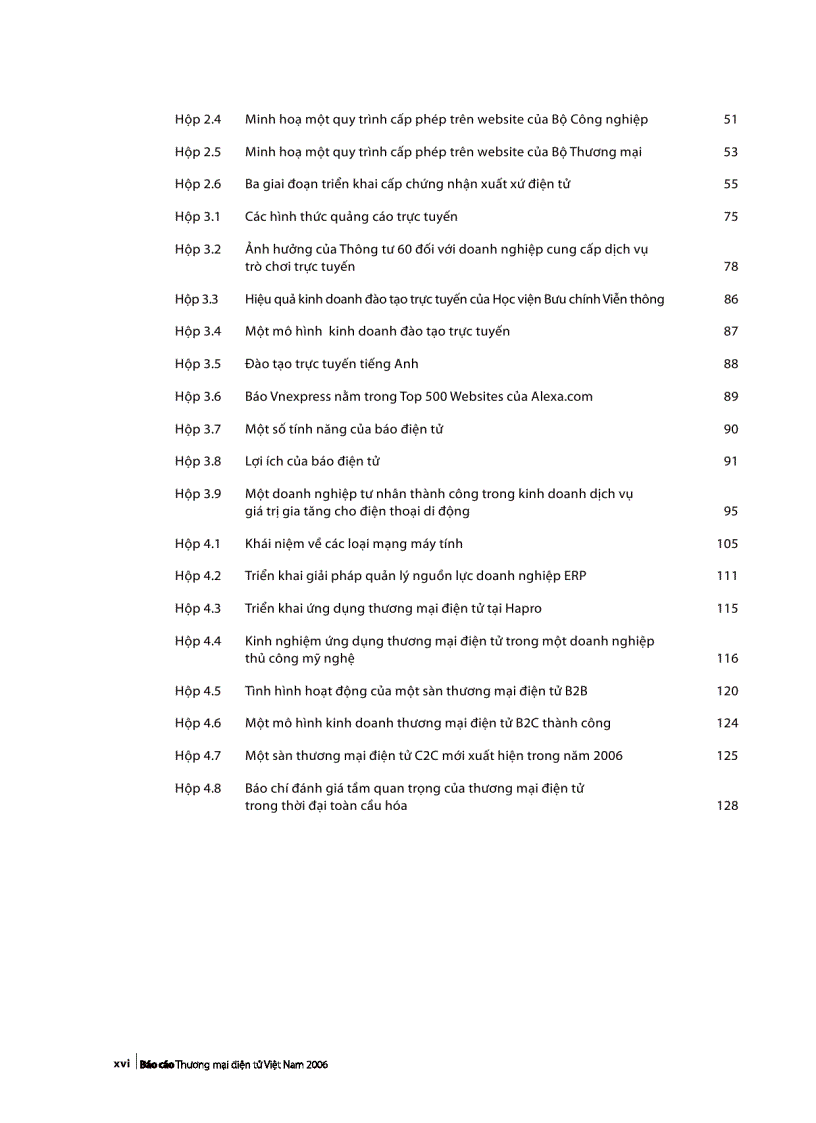 image for page Báo cáo Thương mại điện tử Việt Nam năm 2006