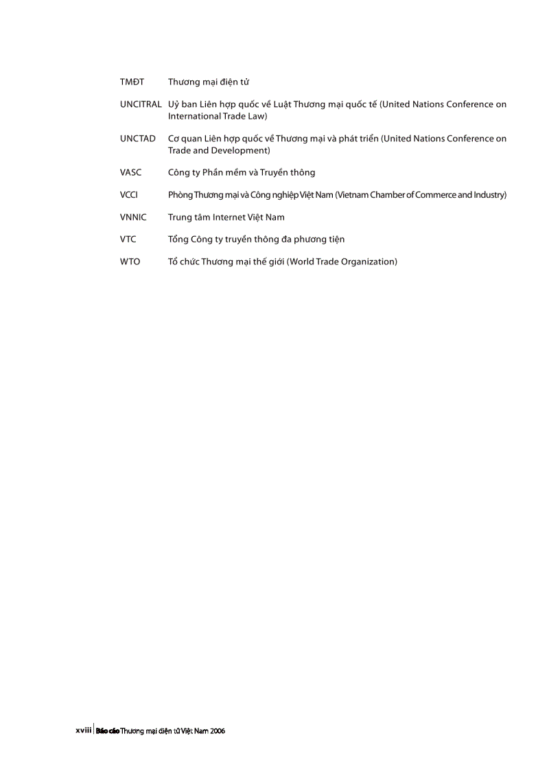 image for page Báo cáo Thương mại điện tử Việt Nam năm 2006
