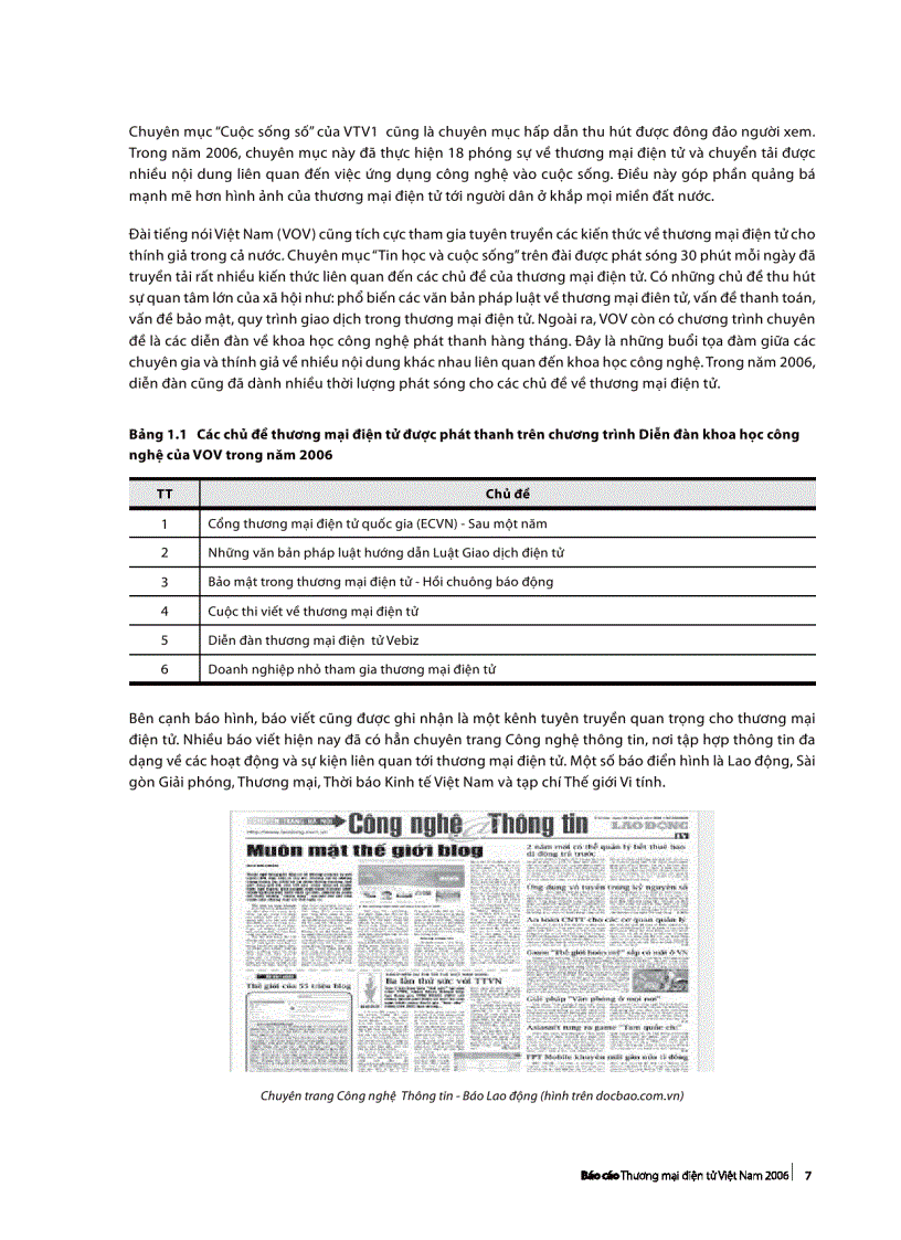 image for page Báo cáo Thương mại điện tử Việt Nam năm 2006