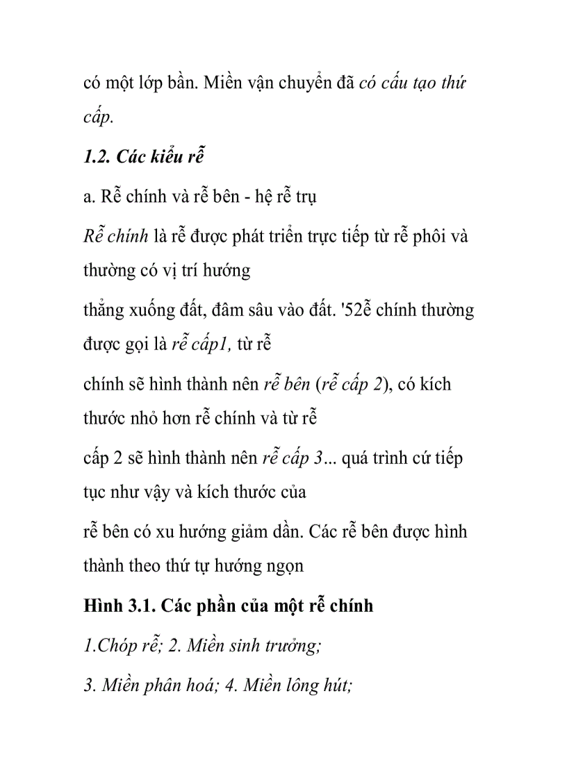 image for page Cấu tạo rễ cây