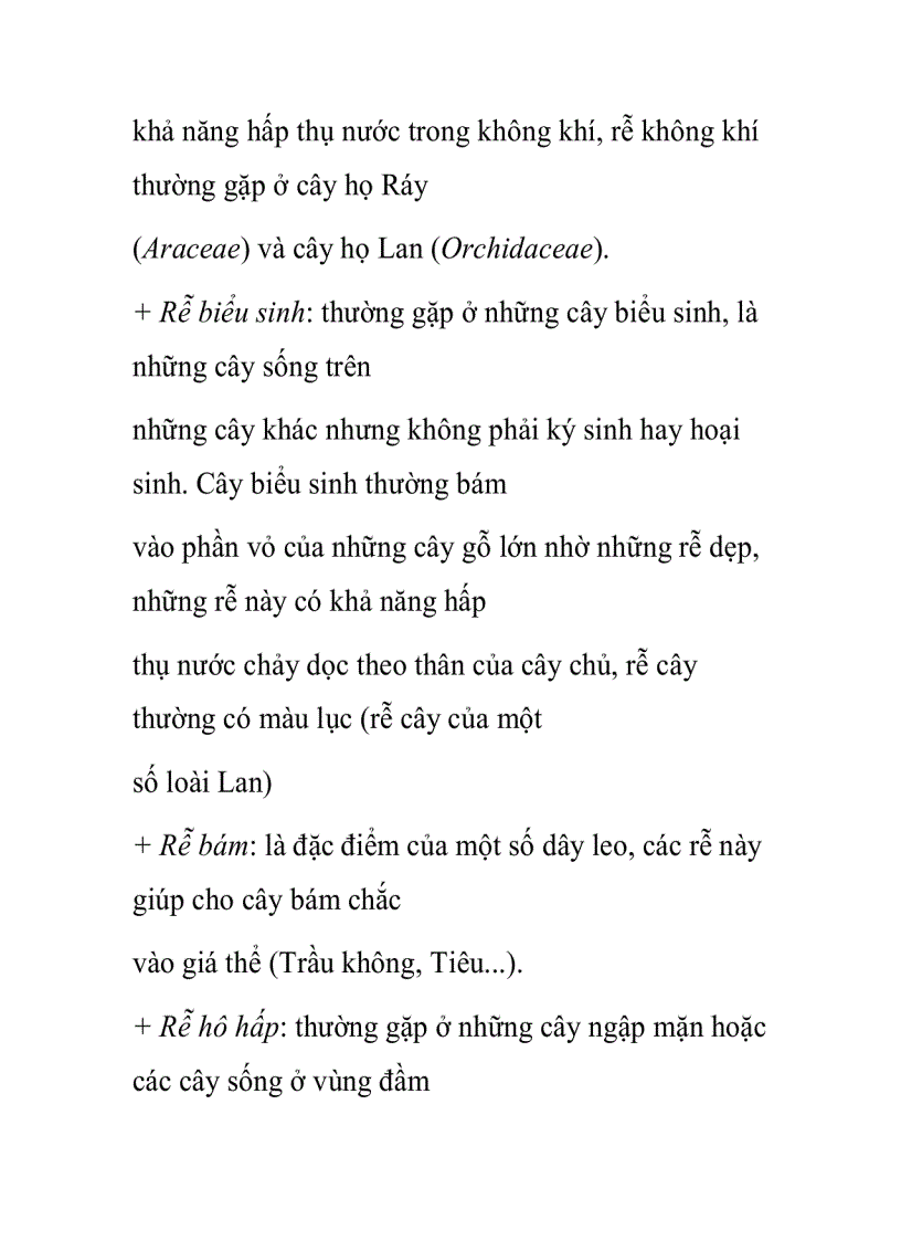 image for page Cấu tạo rễ cây