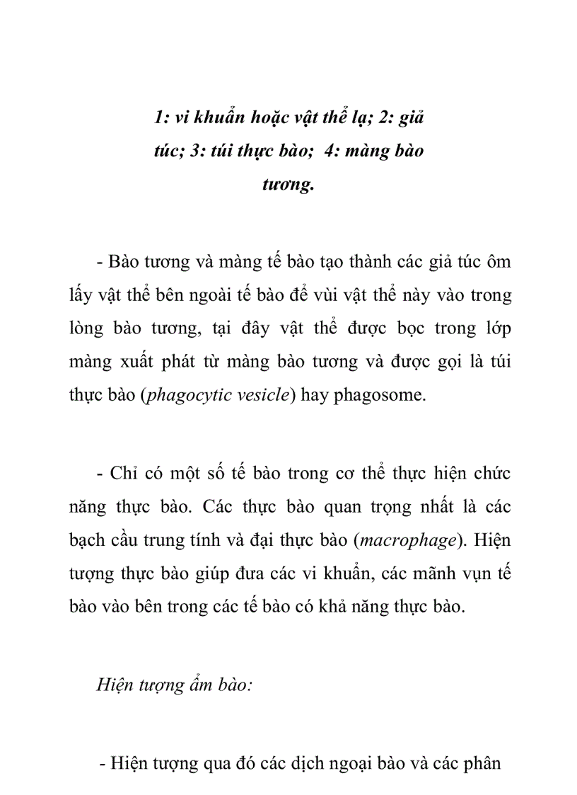 image for page Hiện tượng nhập bào