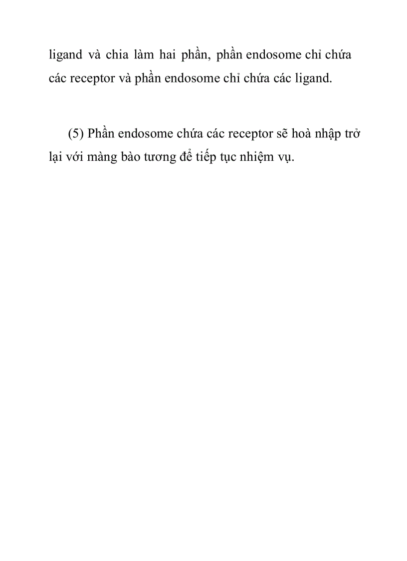 image for page Hiện tượng nhập bào