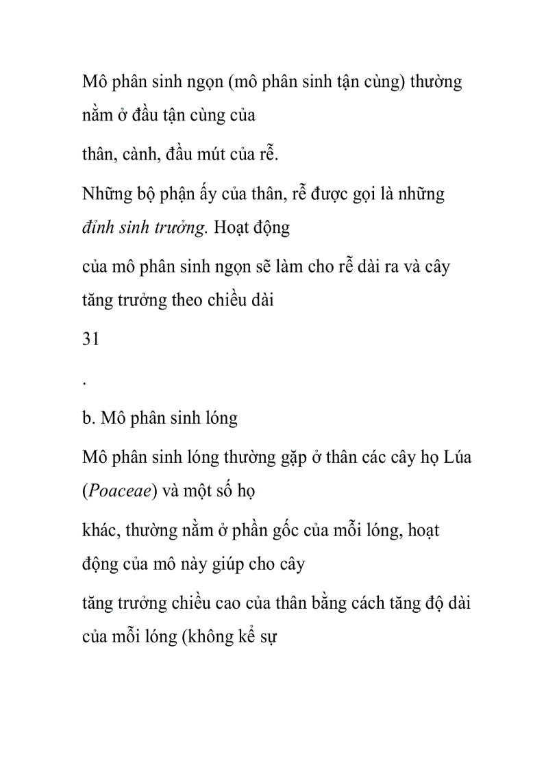 image for page Mô phân sinh sơ cấp