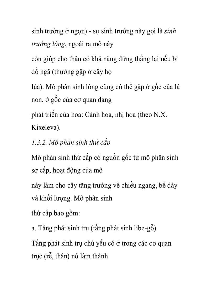 image for page Mô phân sinh sơ cấp
