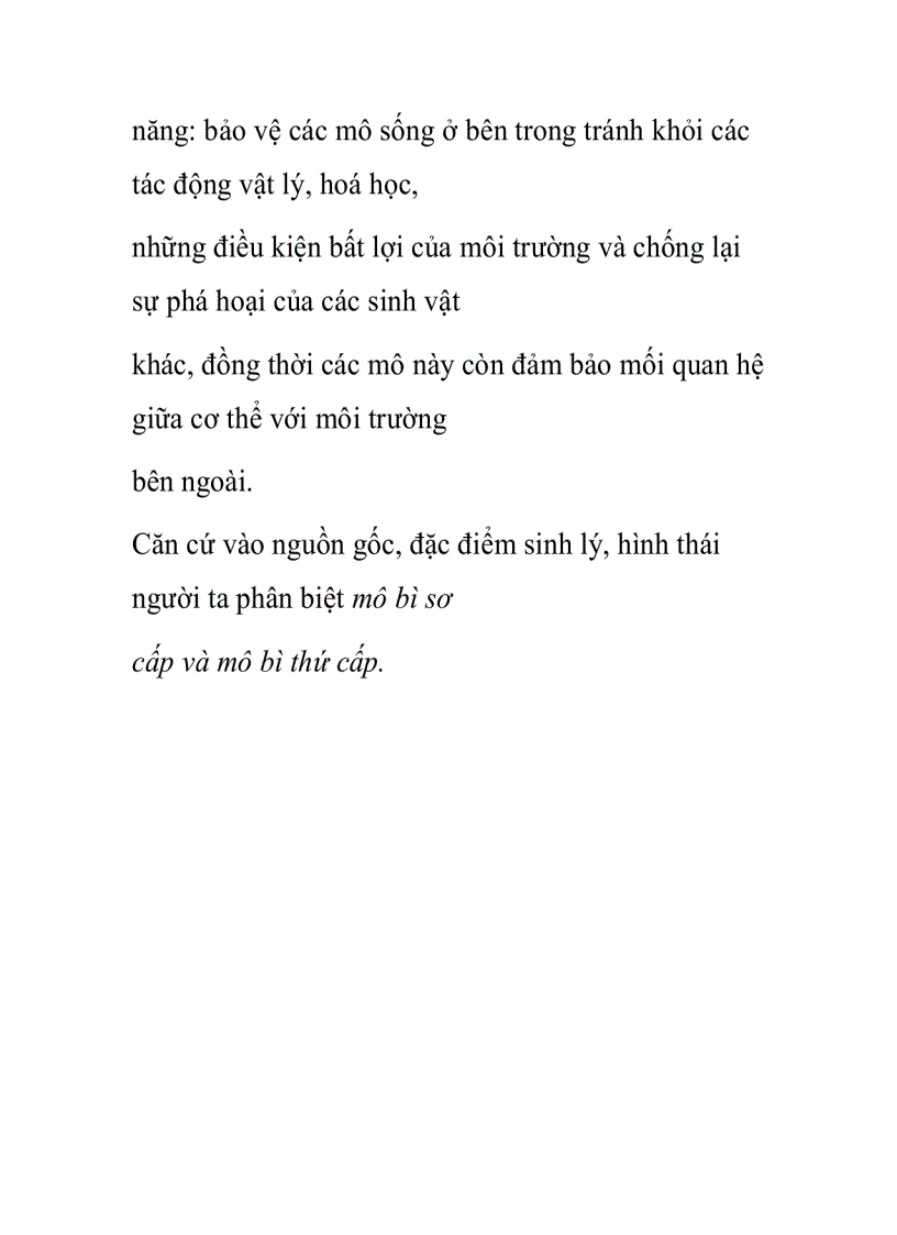 image for page Mô phân sinh sơ cấp