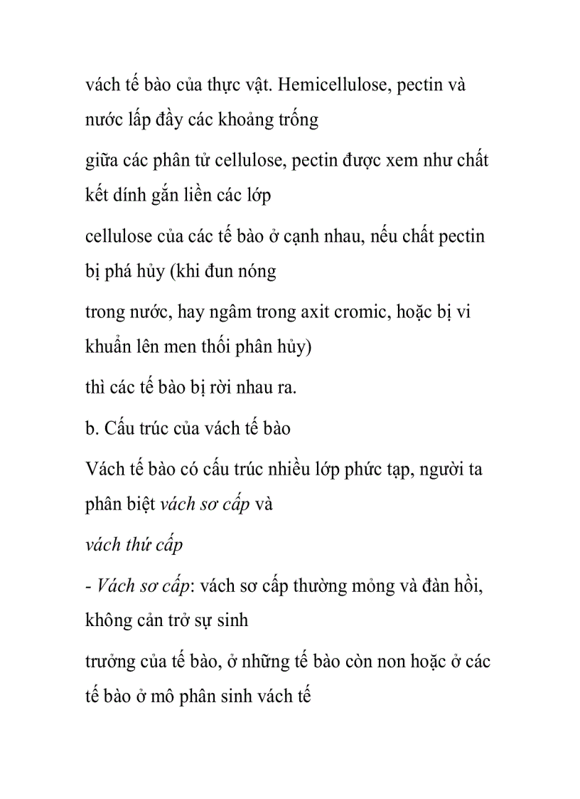 image for page Vách tế bào thực vật