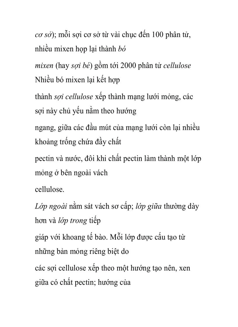 image for page Vách tế bào thực vật