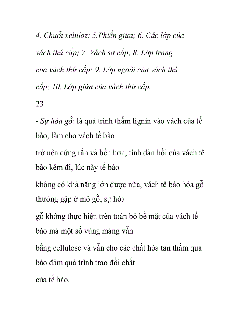 image for page Vách tế bào thực vật
