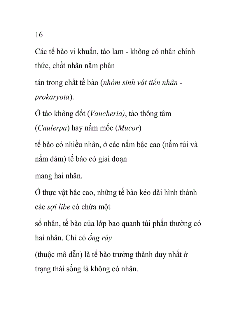 image for page Nhân tế bào