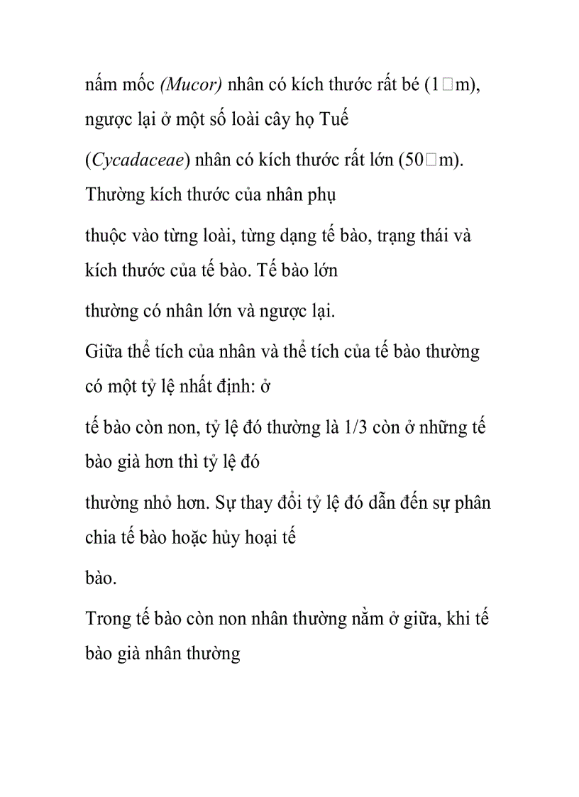 image for page Nhân tế bào