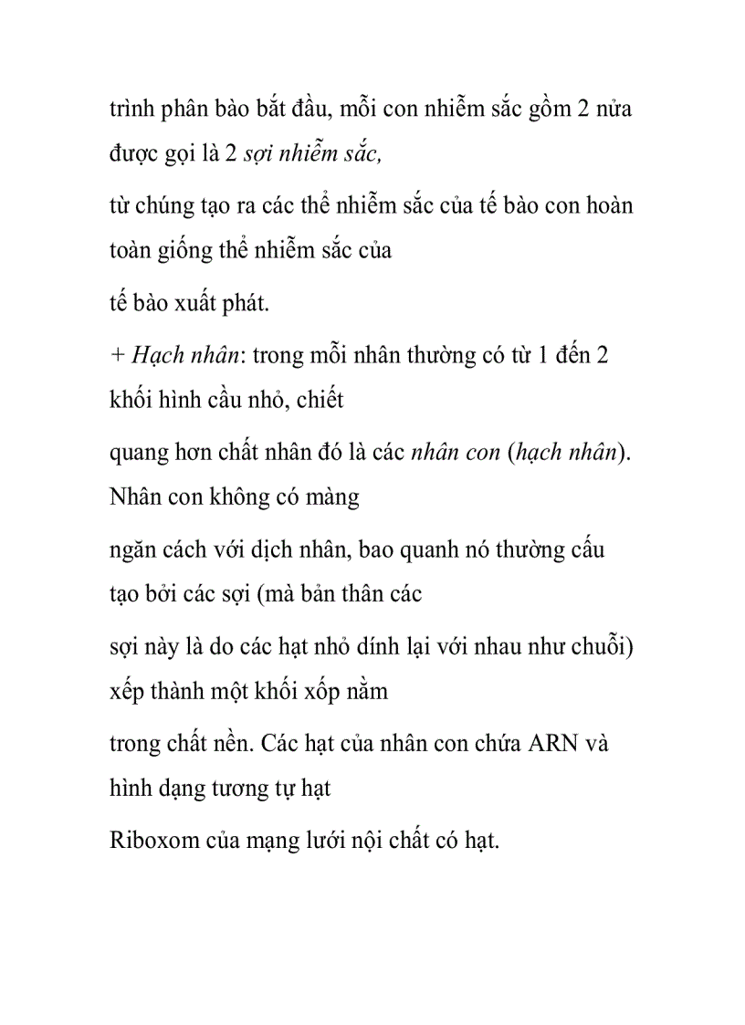 image for page Nhân tế bào