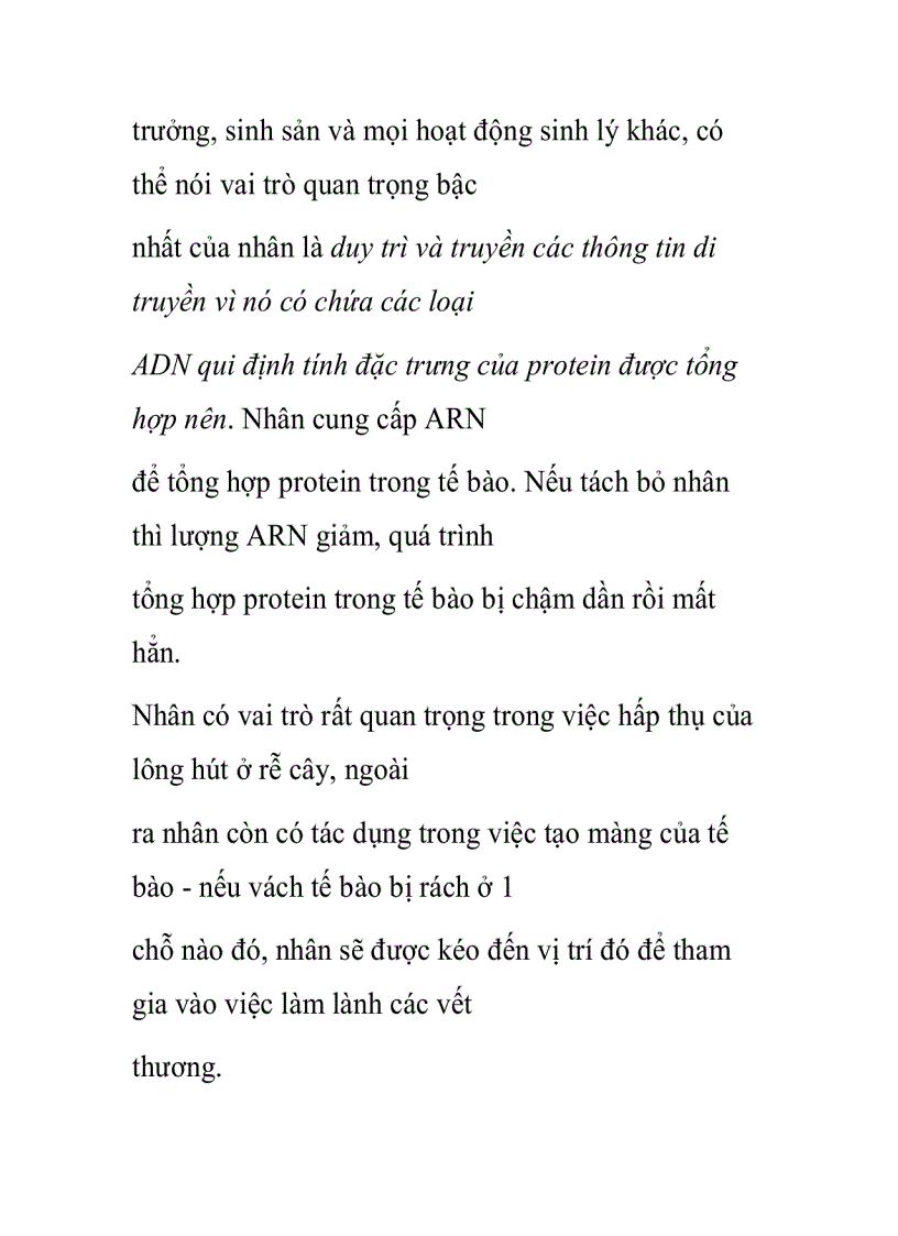 image for page Nhân tế bào