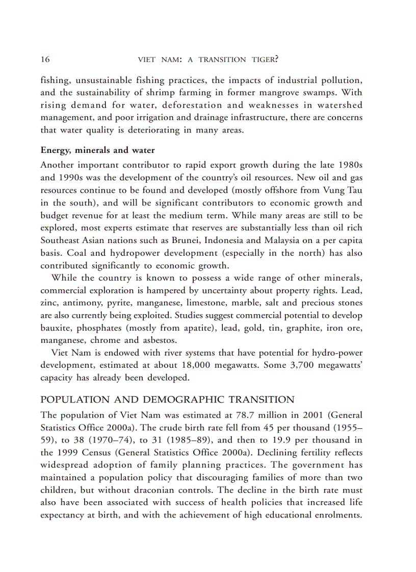 image for page VIET NAM a transition tiger