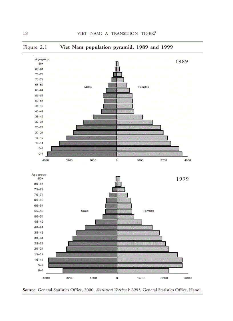 image for page VIET NAM a transition tiger