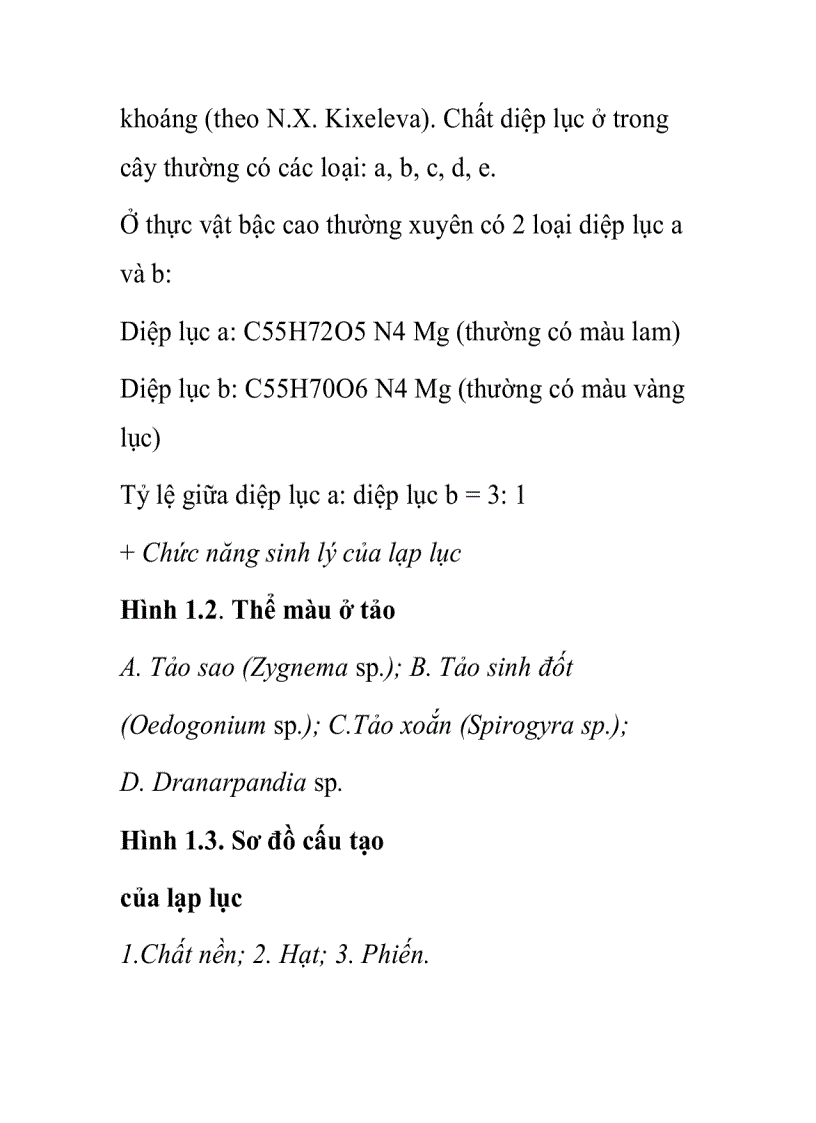 image for page Thực vật Lục lạp