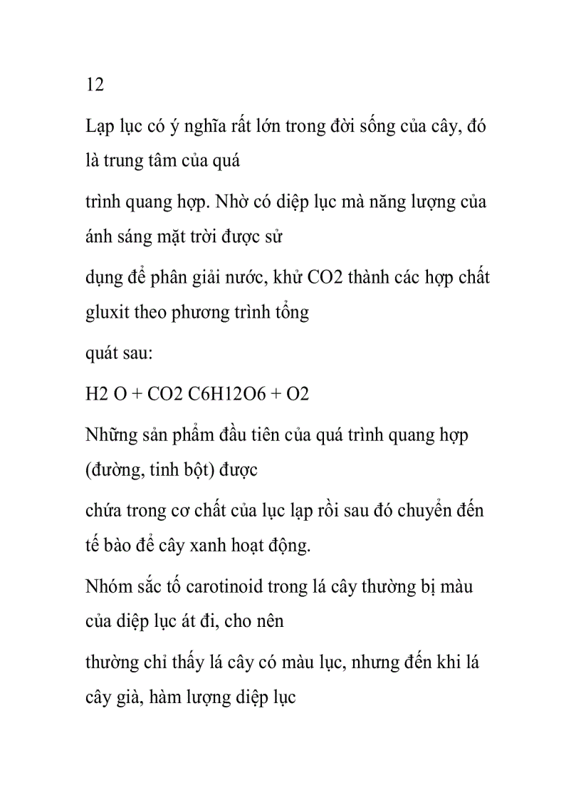 image for page Thực vật Lục lạp