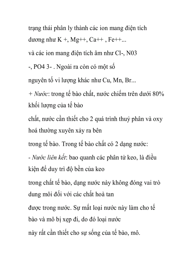 image for page Khái niệm về tế bào thực vật