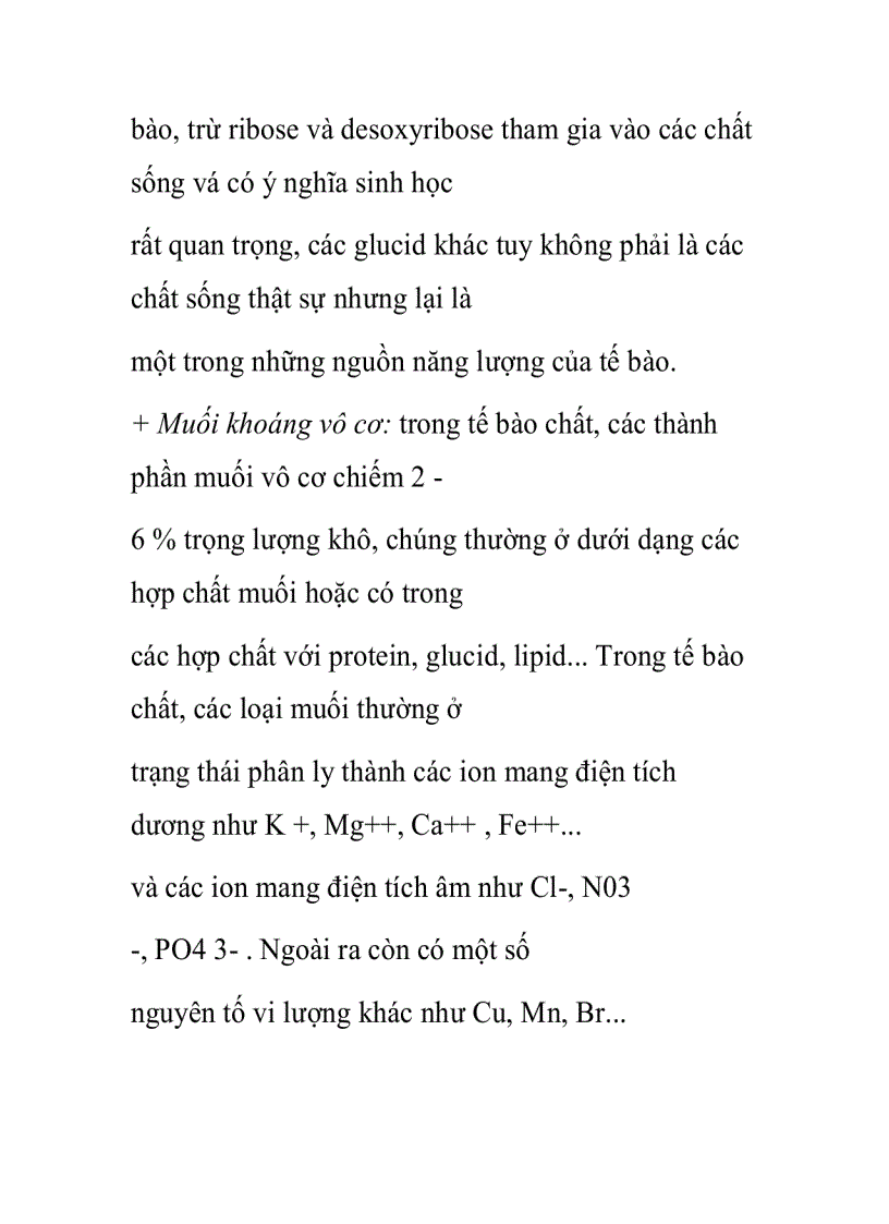 image for page Cấu tạo của tế bào thực vật