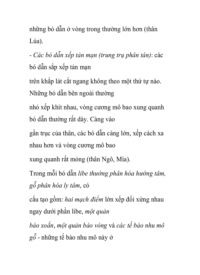 image for page Cấu tạo giải phẫu của thân cây một lá mầm