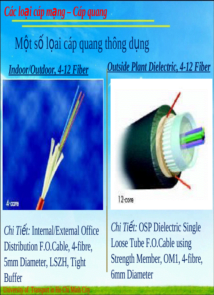 image for page Các loại cáp mạng