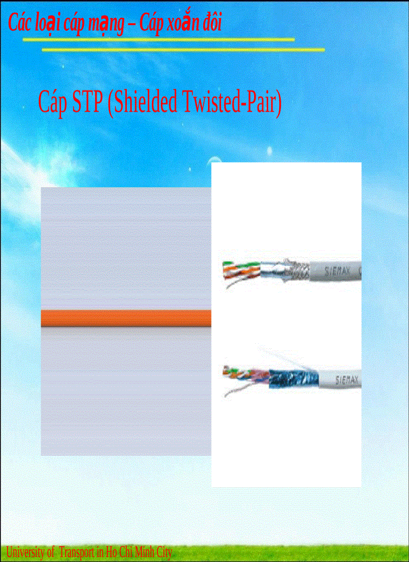 image for page Các loại cáp mạng