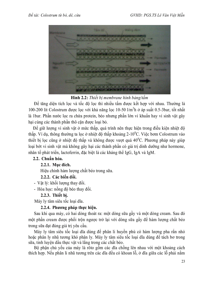 image for page Tổng quan về Colostrum sữa non từ bò dê cừu vai trò ứng dụng và sản xuất