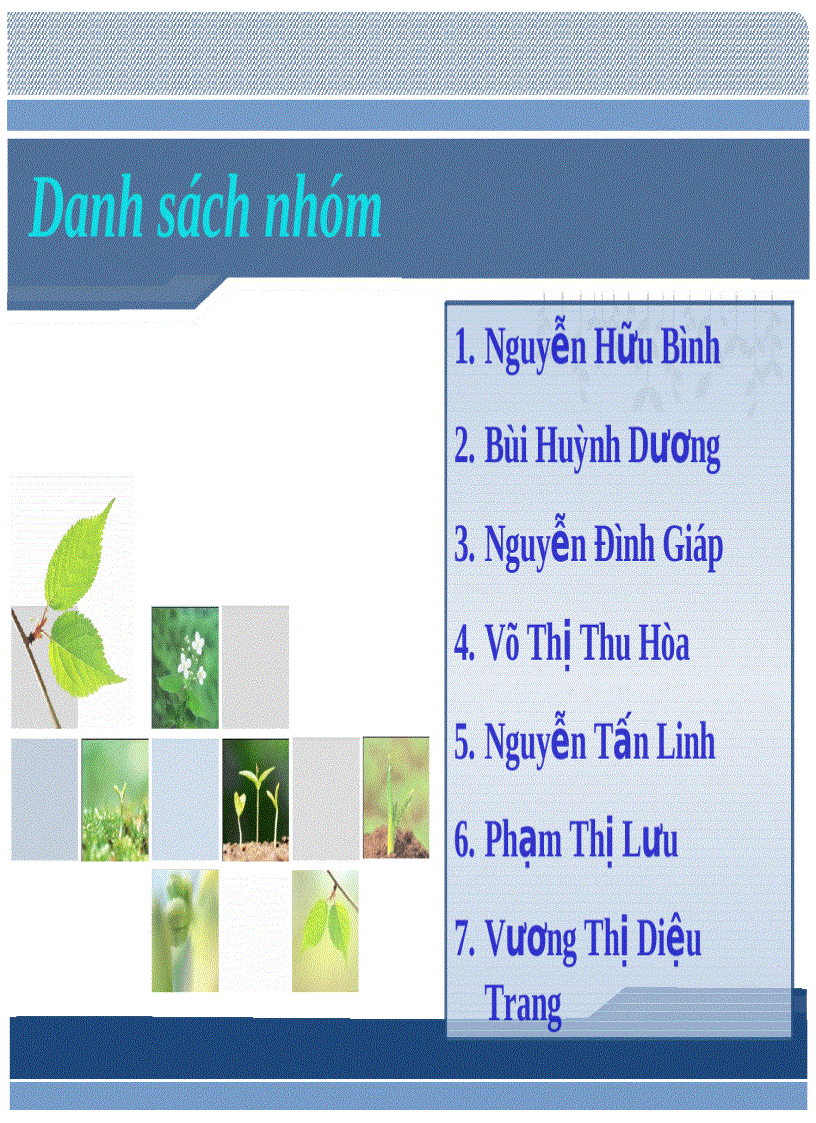 Công ty chứng khoán việt nam