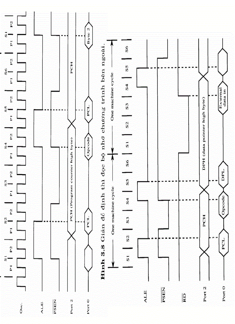 image for page HỌ VI ĐiỀU KHIỂN 8051