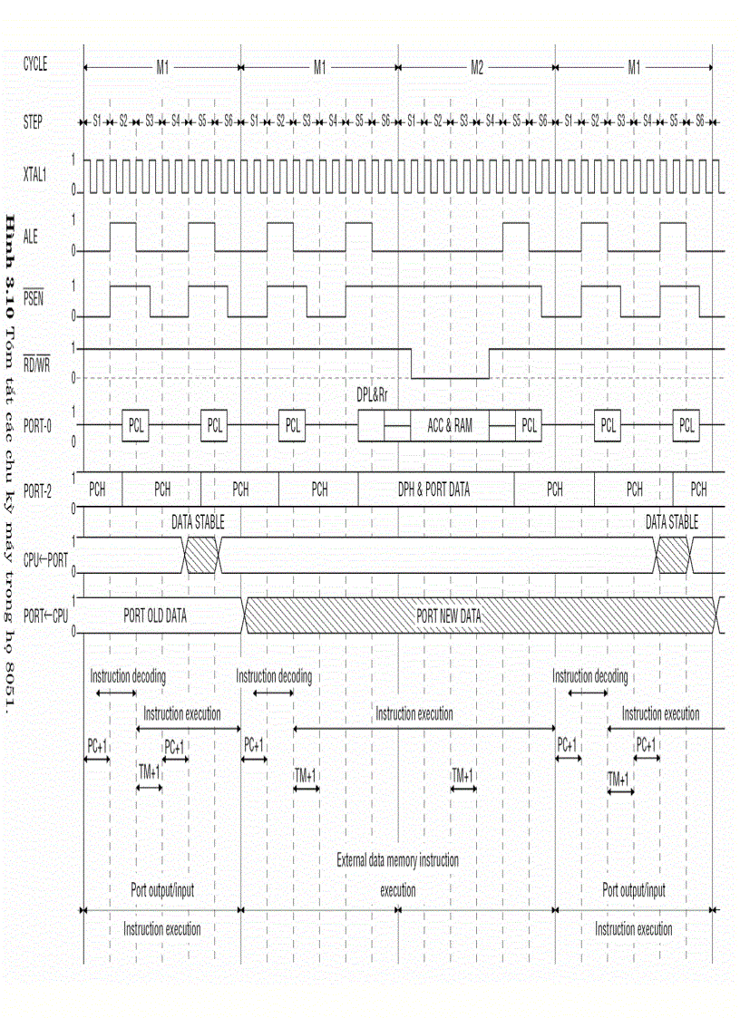 image for page HỌ VI ĐiỀU KHIỂN 8051