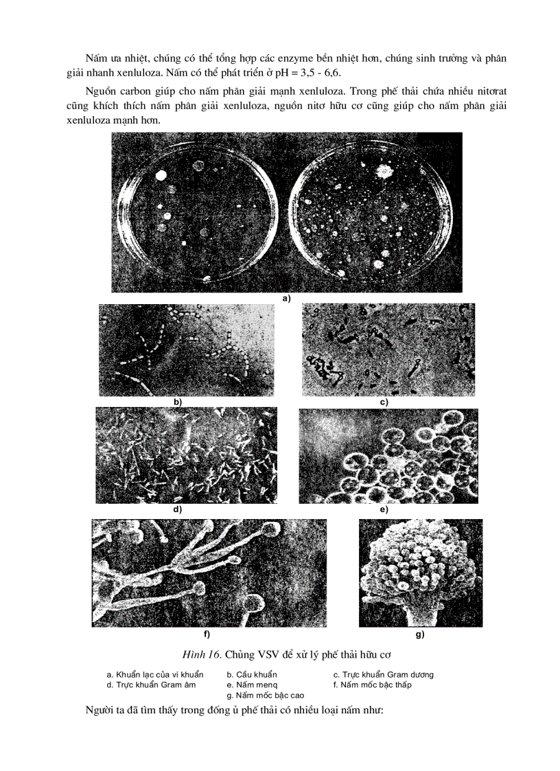 image for page Chế phẩm vi sinh vật dùng trong xử lý và cải tạo môi trường