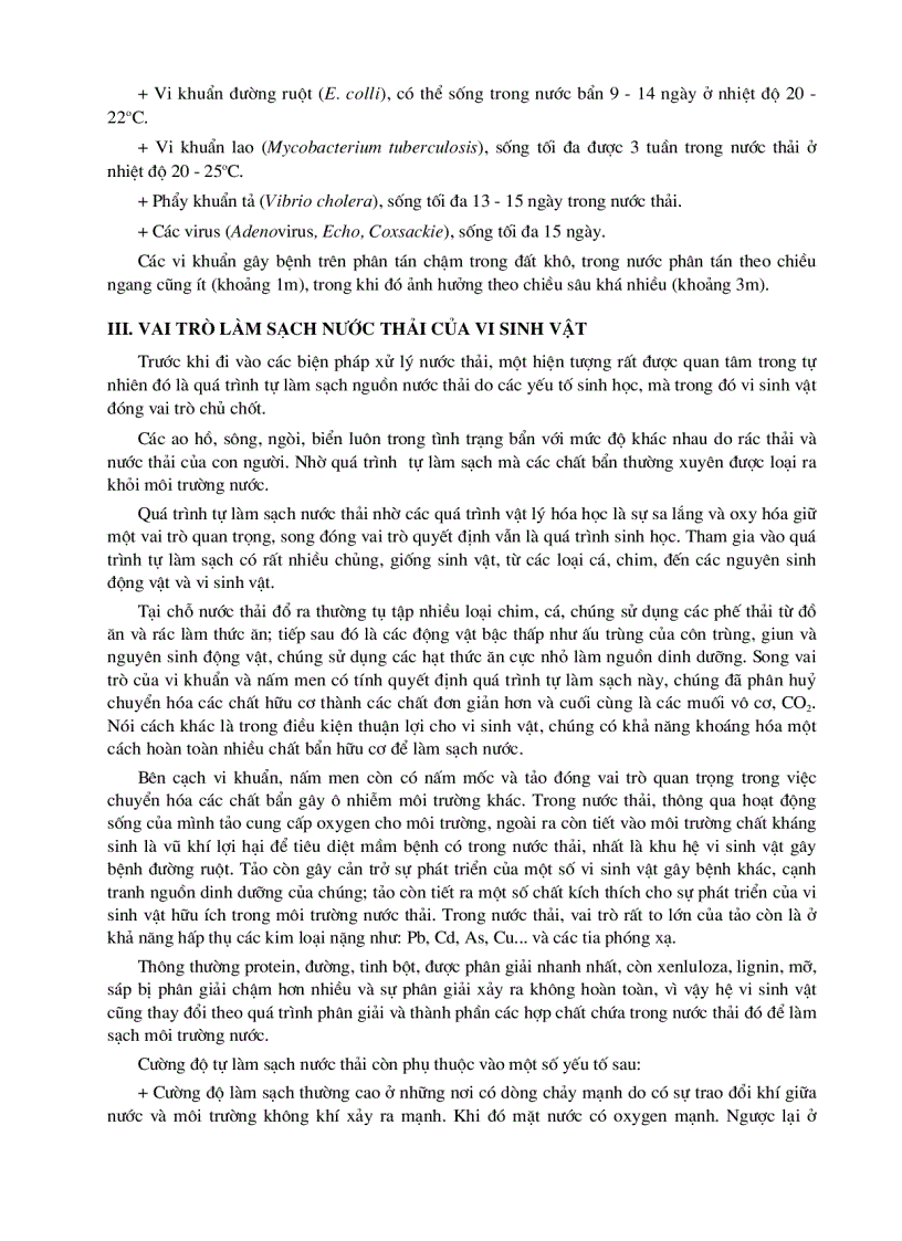 image for page Chế phẩm vi sinh vật dùng trong xử lý và cải tạo môi trường