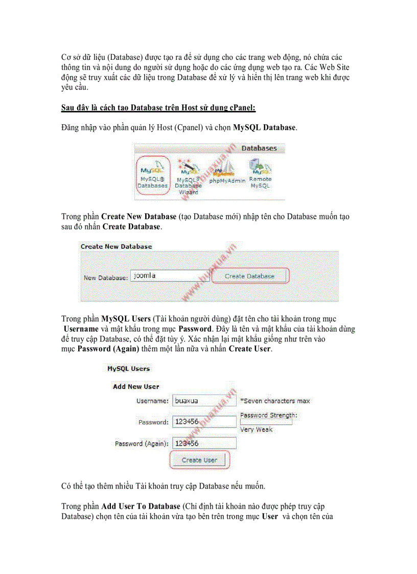 image for page Cách tạo Database trên host sử dụng cPanel